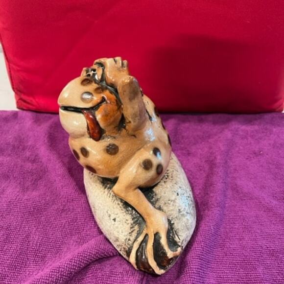 Crazy Day! Frog on a Rock! - Picture 3 of 9